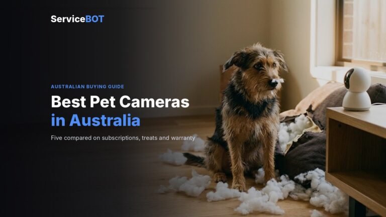 A scruffy dog sits in torn cushion stuffing, looking towards a small white indoor camera on a shelf